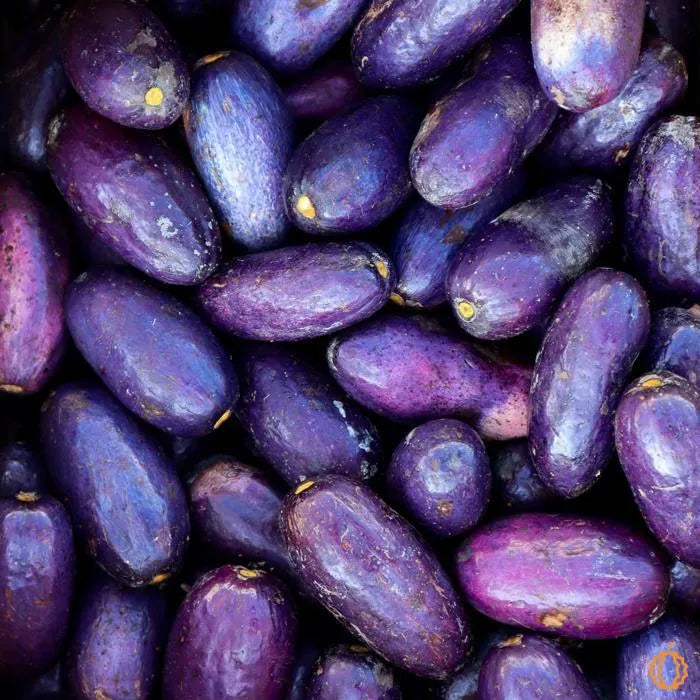 FILET DE SAFOU FRAIS - PRUNES AFRICAINE (5kg)