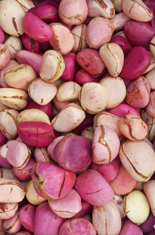 NOIX DE KOLA (1KG)
